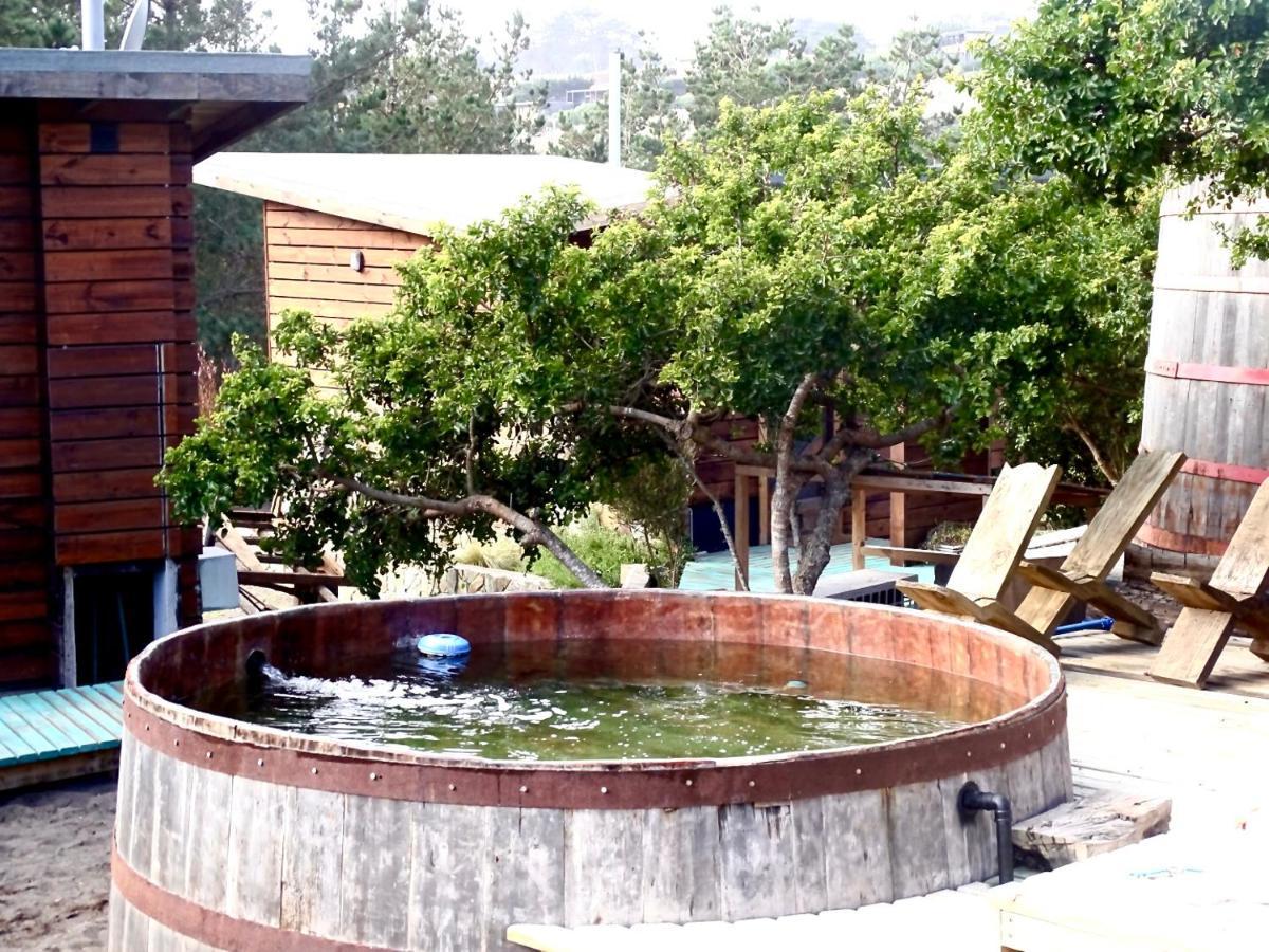 Bed and breakfast Palo Santo