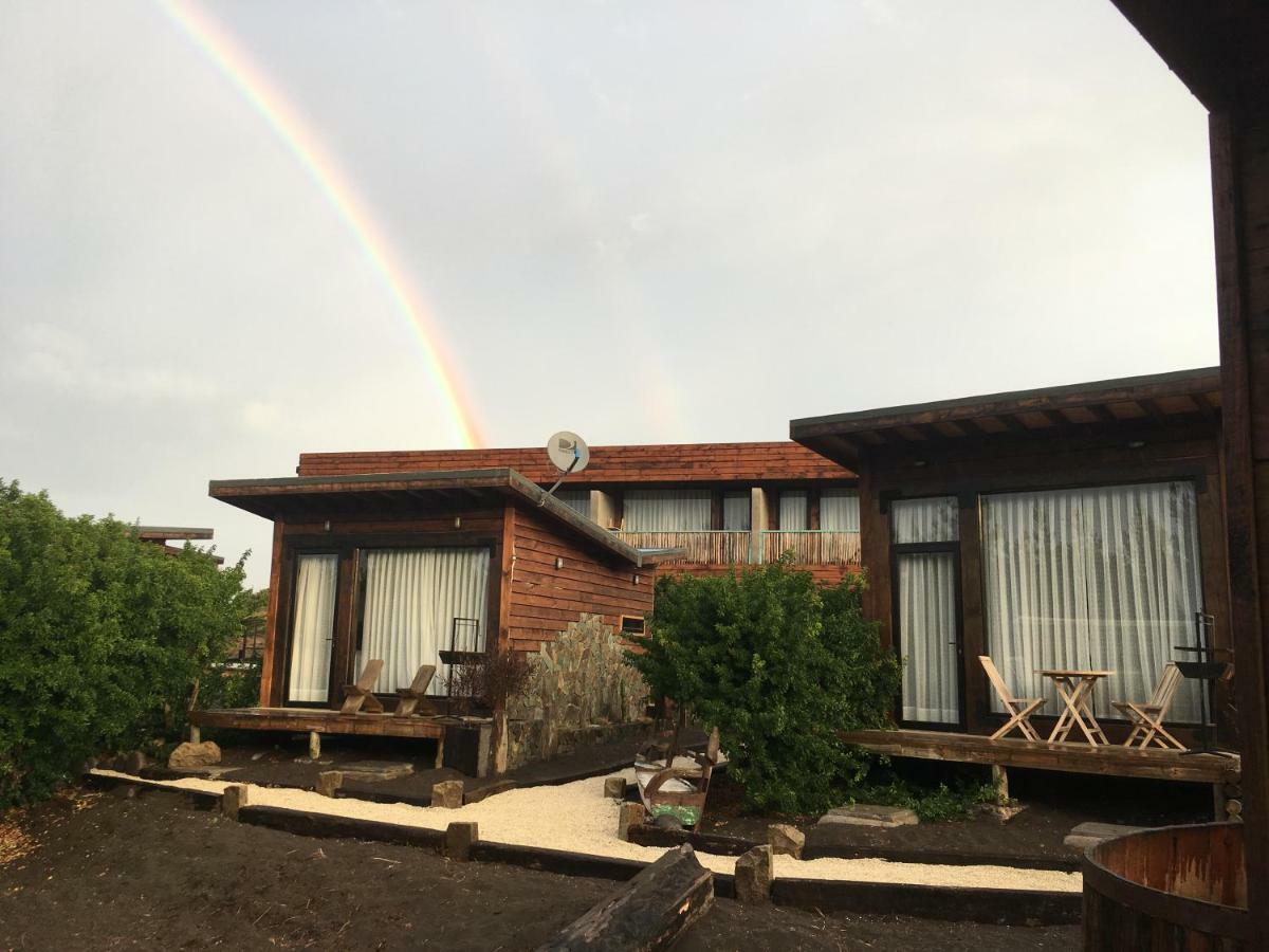 Bed and breakfast Palo Santo