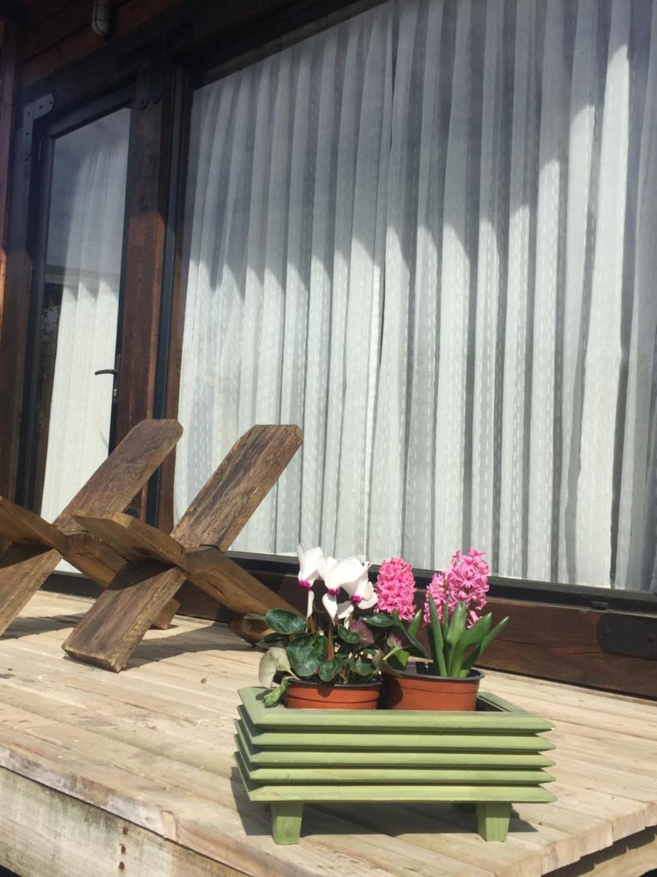 Palo Santo * Pichilemu