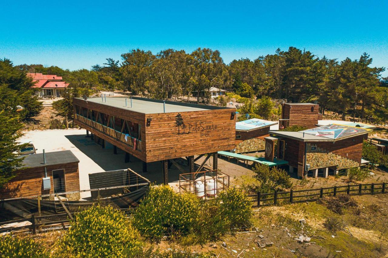 Palo Santo * Pichilemu