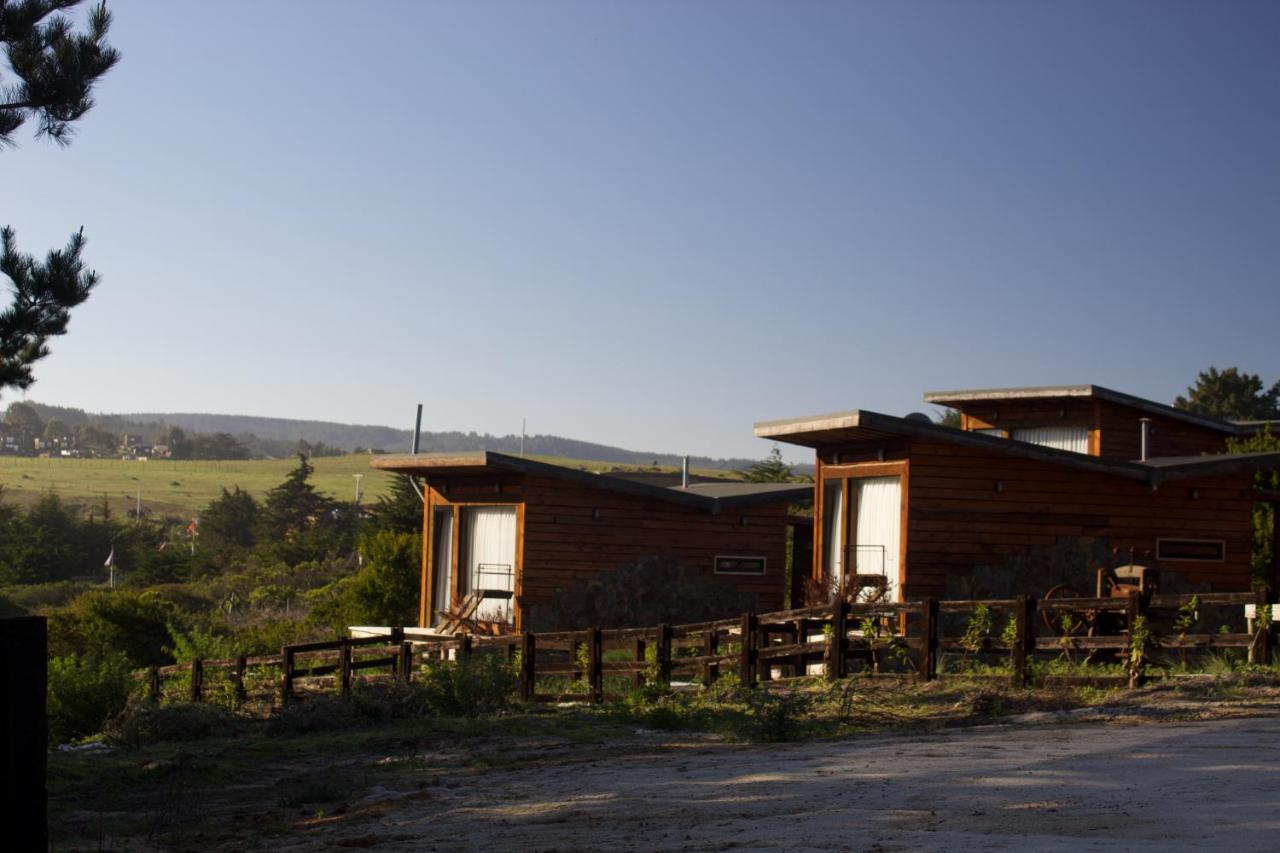 Palo Santo * Pichilemu
